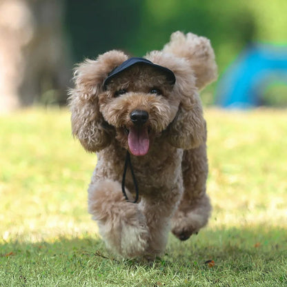 Doggo Hat™