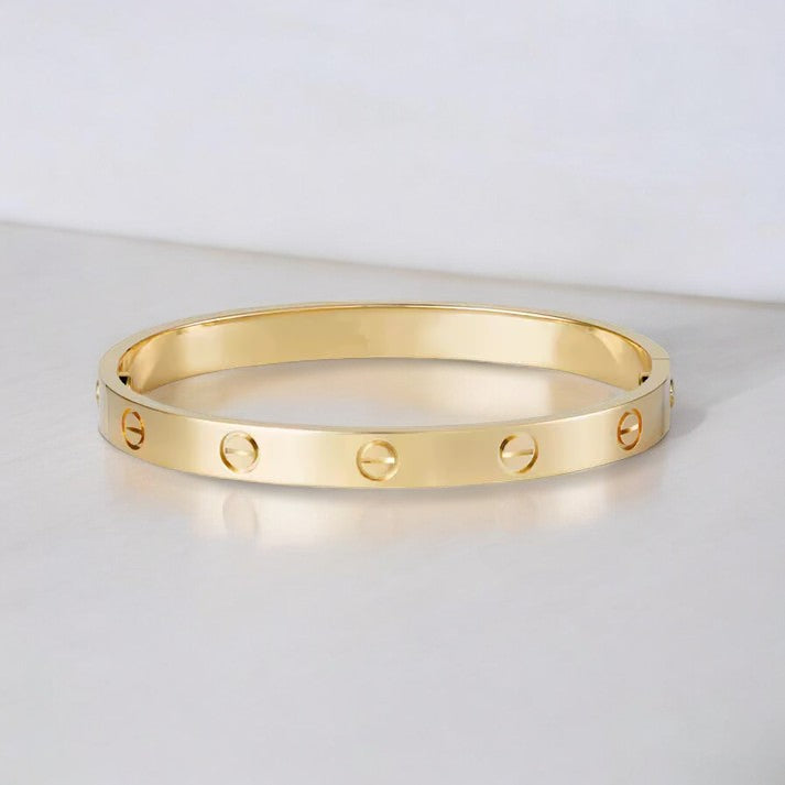 Dames Armband | Luxe Stalen Armband met Schroefdetail