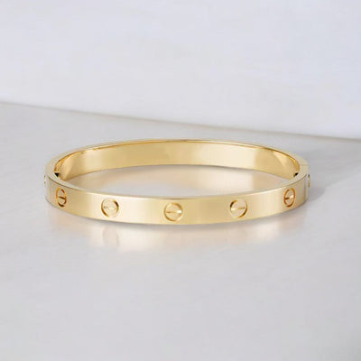Dames Armband | Luxe Stalen Armband met Schroefdetail