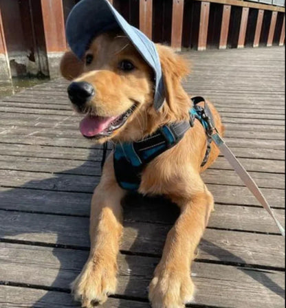 Doggo Hat™